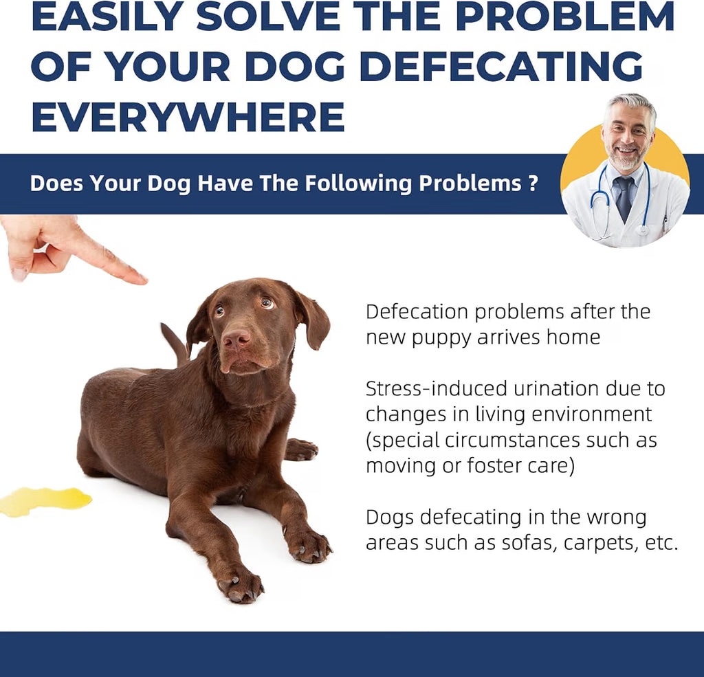 Pet Potty & Toilet Training Spray 150ml – Teach Your Pet the Right Spot