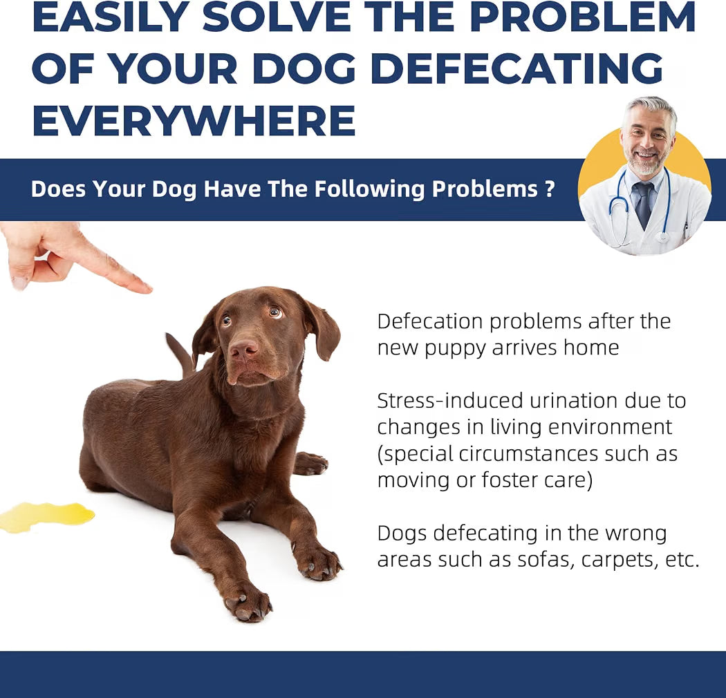 Pet Potty & Toilet Training Spray 150ml – Teach Your Pet the Right Spot