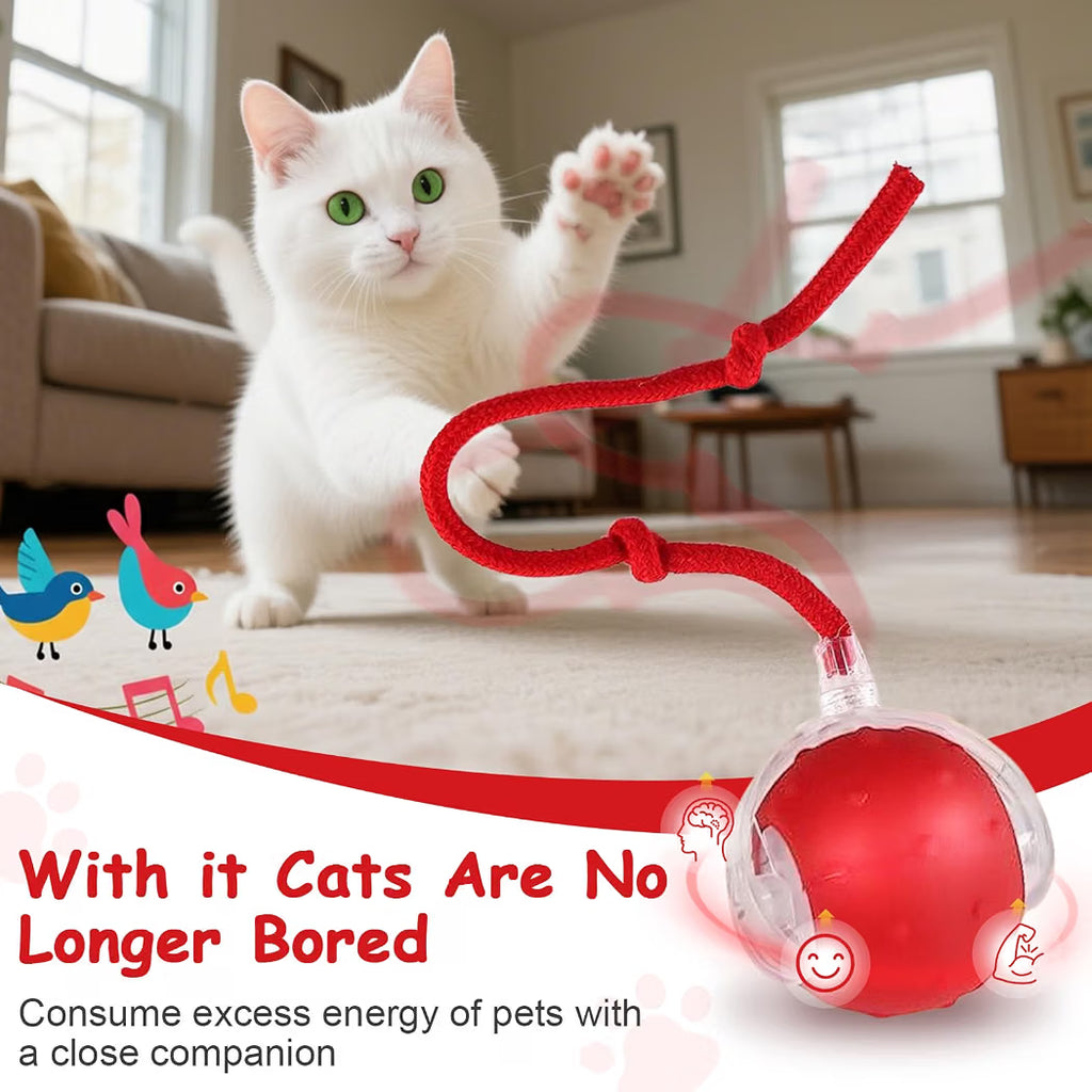 Rechargeable Automatic Moving Pet Toy Ball with LED