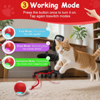 Rechargeable Automatic Moving Pet Toy Ball with LED