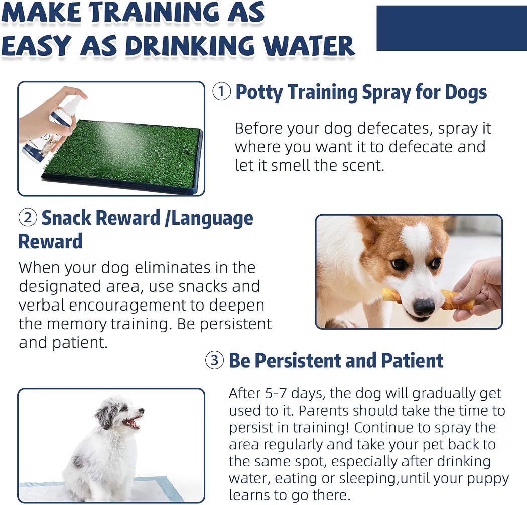 Pet Potty & Toilet Training Spray 150ml – Teach Your Pet the Right Spot