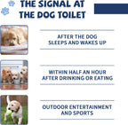 Pet Potty & Toilet Training Spray 150ml – Teach Your Pet the Right Spot