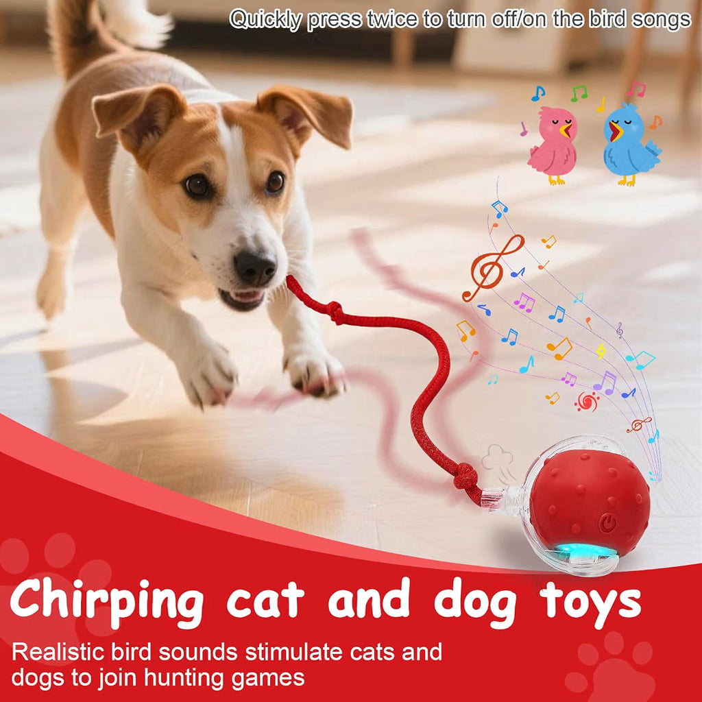 Rechargeable Automatic Moving Pet Toy Ball with LED