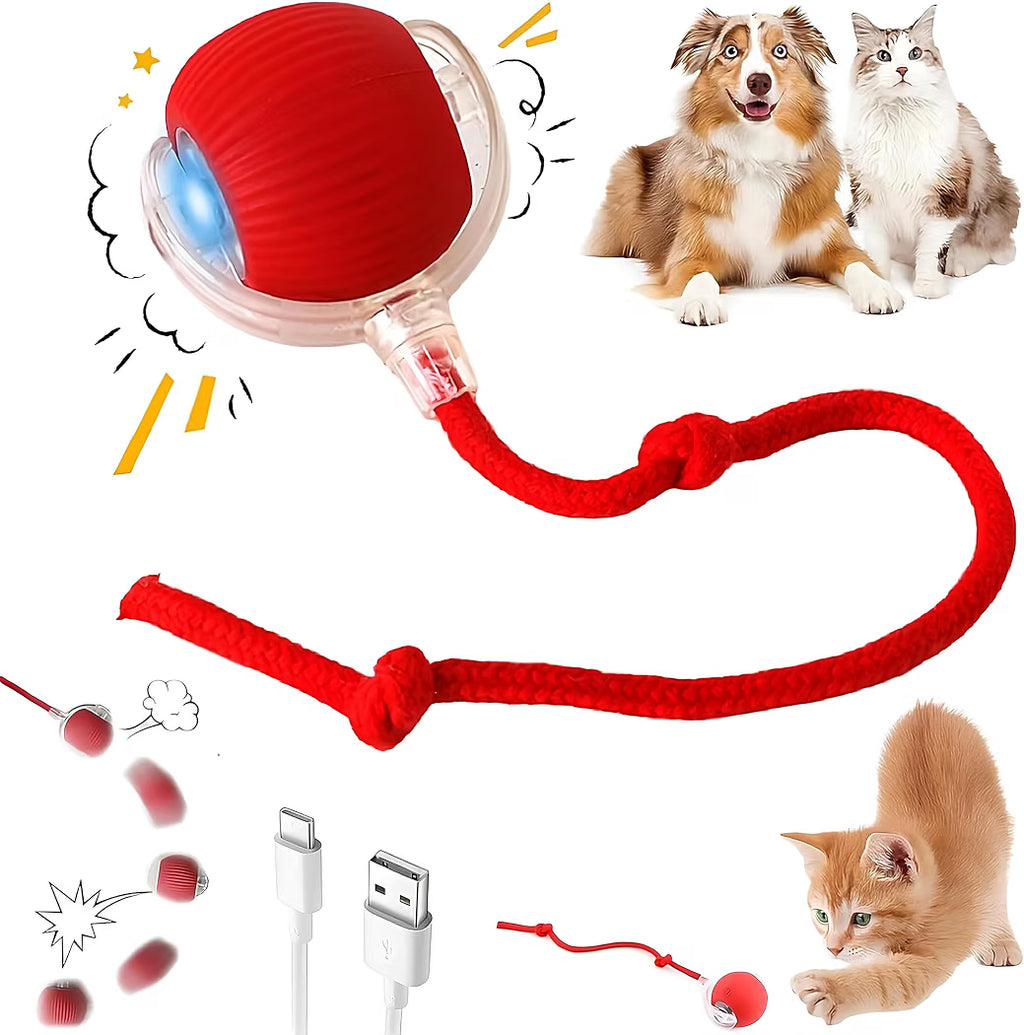 Rechargeable Automatic Moving Pet Toy Ball with LED