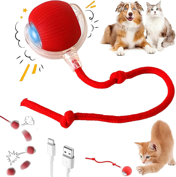 Rechargeable Automatic Moving Pet Toy Ball with LED