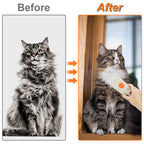 Cat Steam Brush For Shedding